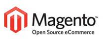 Online-shop Magento